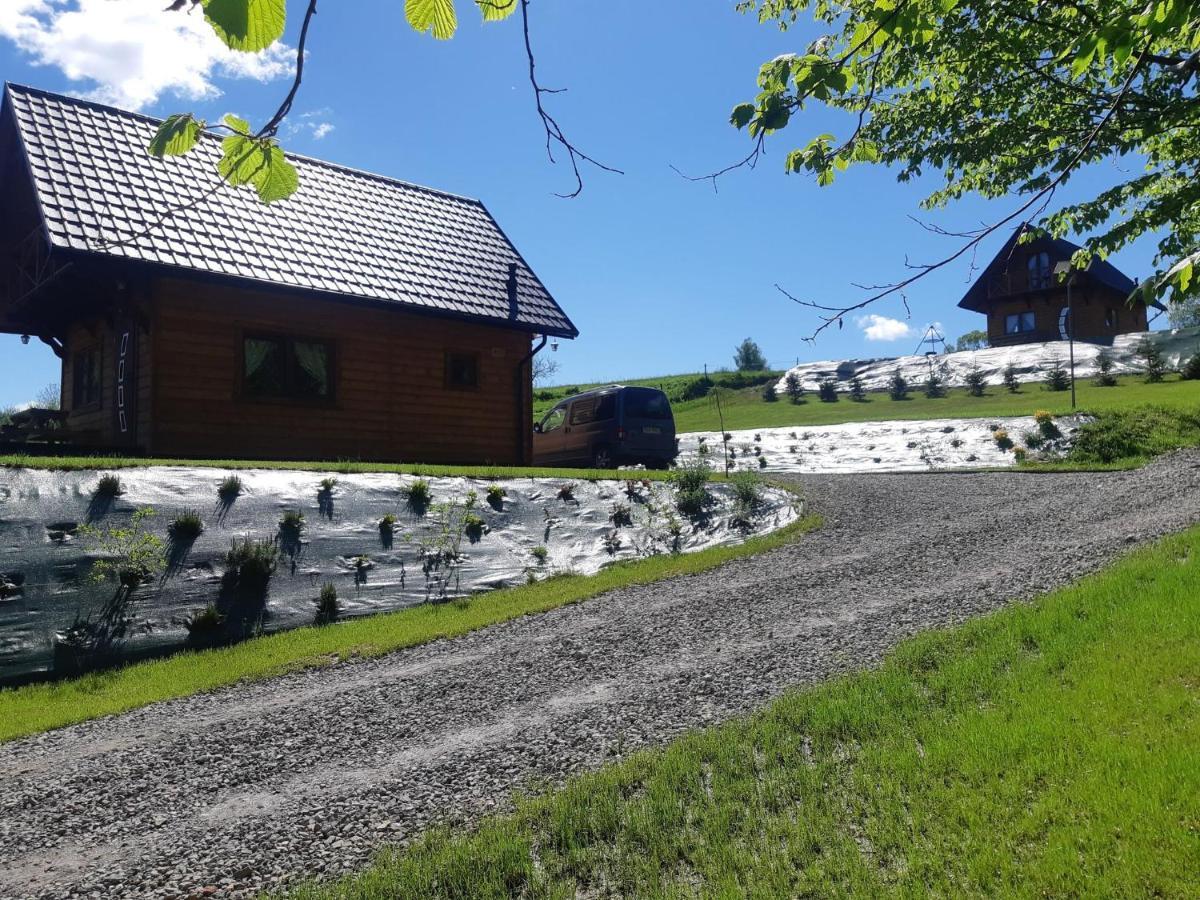 Domek Na Wzgorzu "Wilk" Swiatkowa Mala Exteriör bild